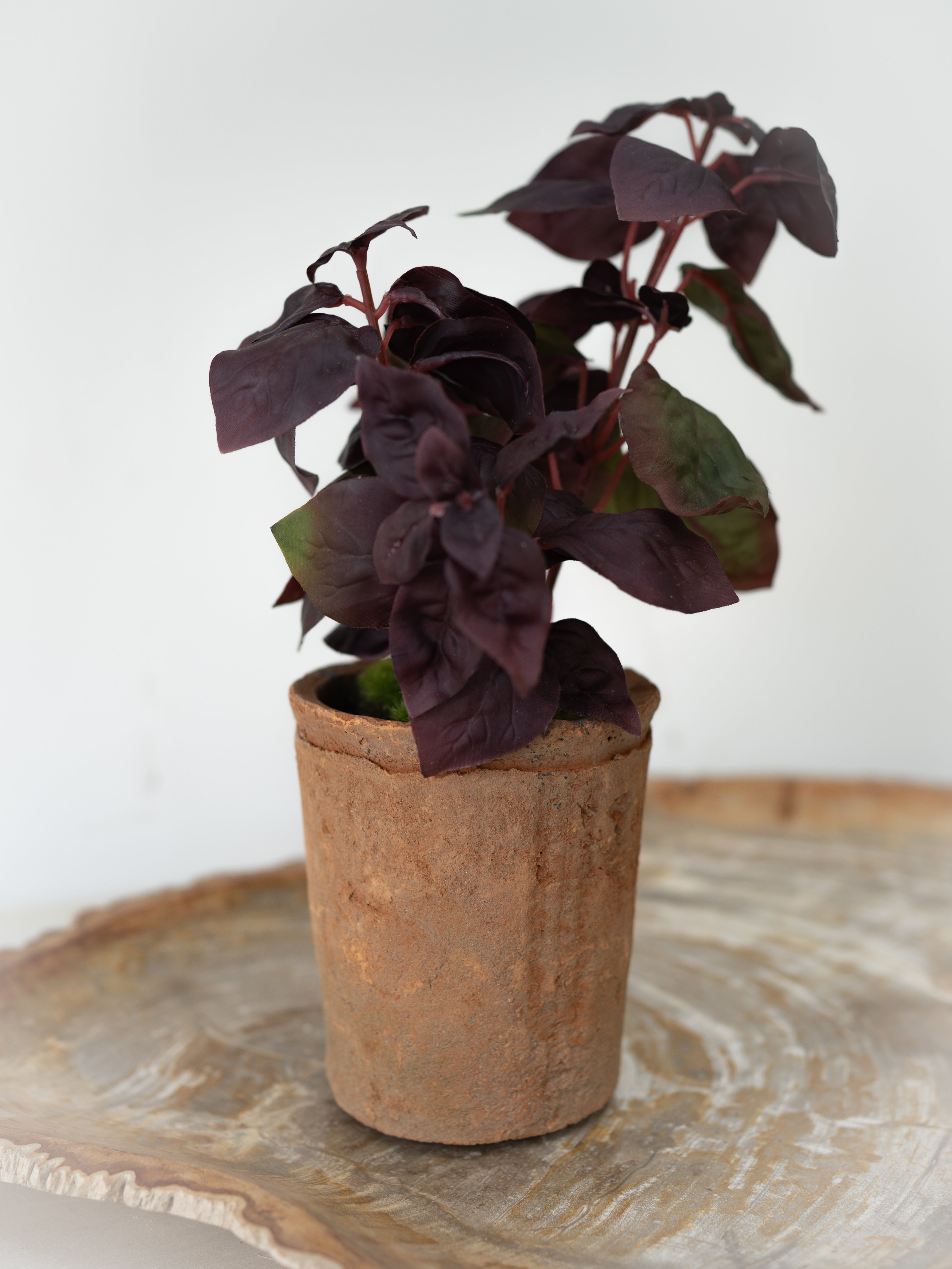 Faux potted plant with dark purple leaves on a wooden surface with a light background