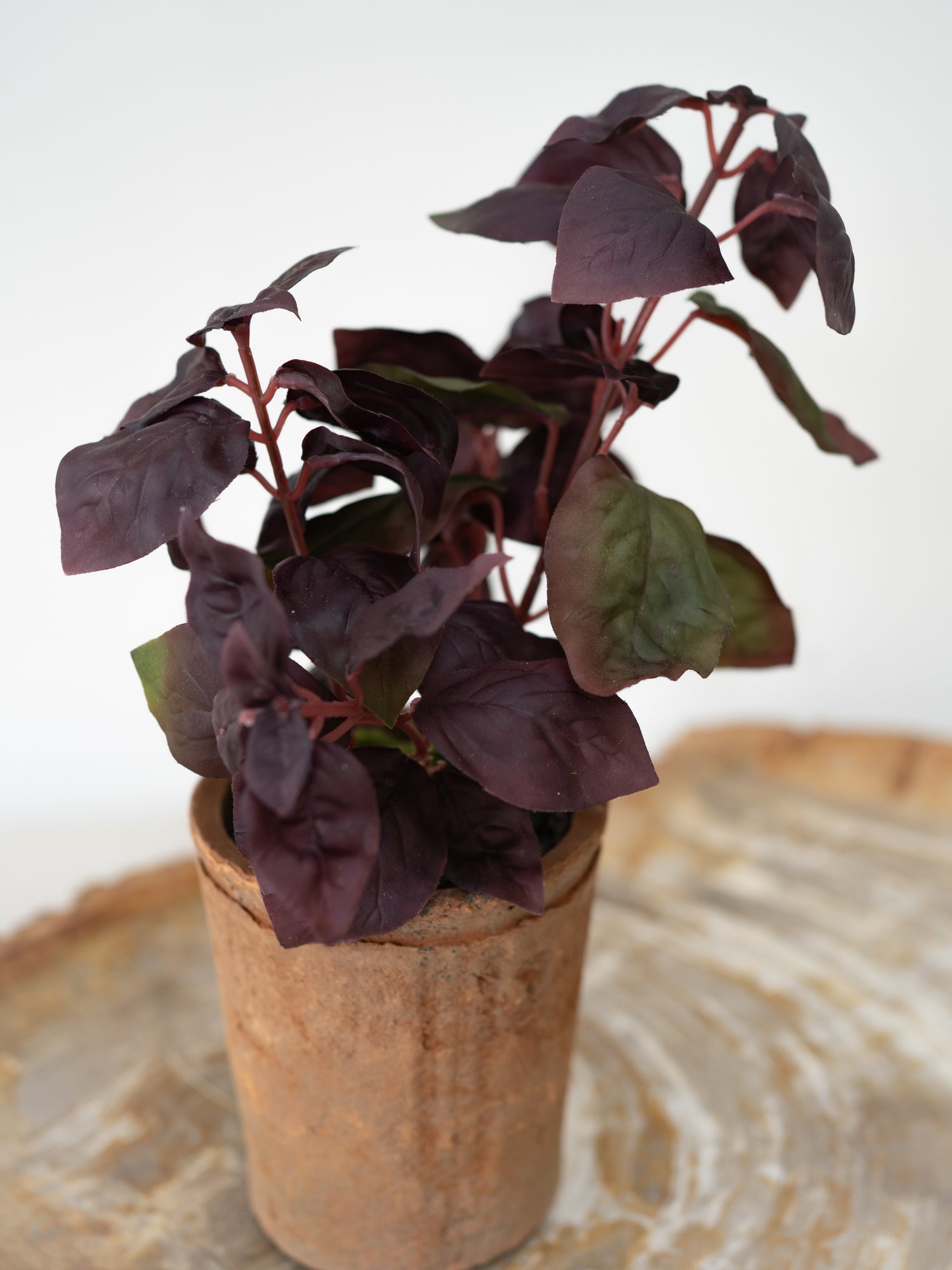 artificial potted plant with dark purple leaves on a textured surface