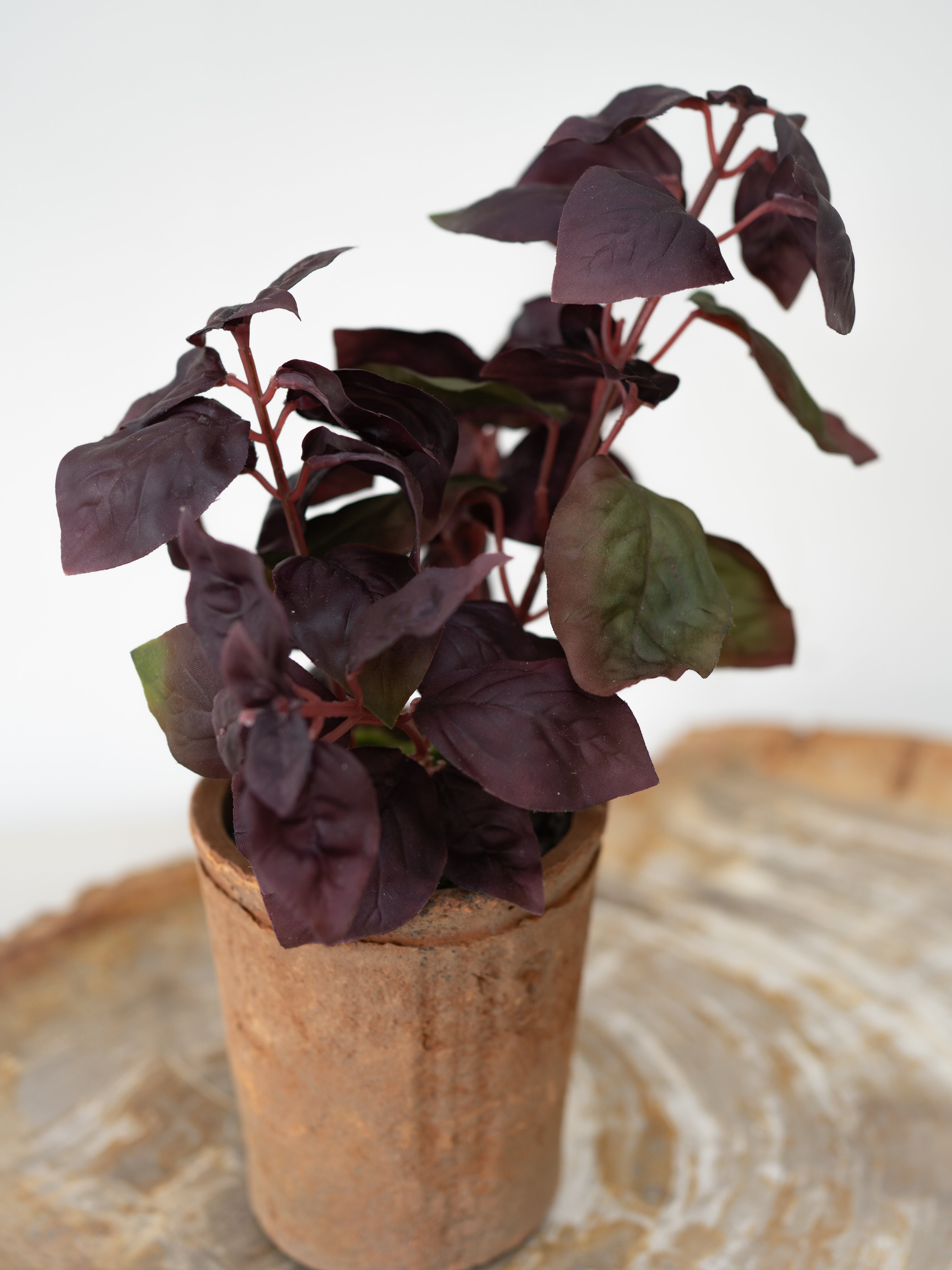 artificial potted plant with dark purple leaves on a textured surface