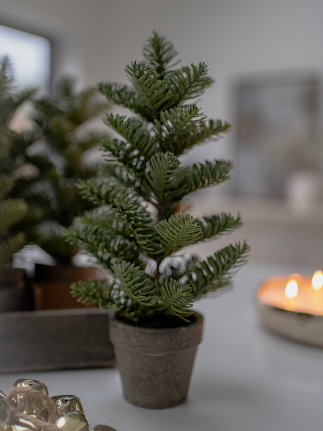 Small potted Christmas tree on a table with a blurred background
