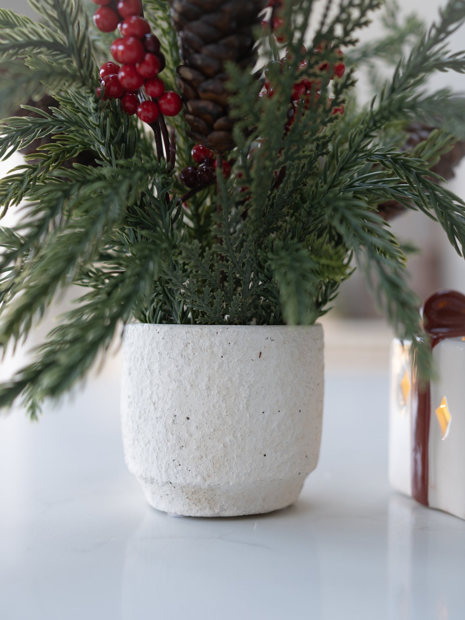Potted plant with greenery and red berries on a white surface