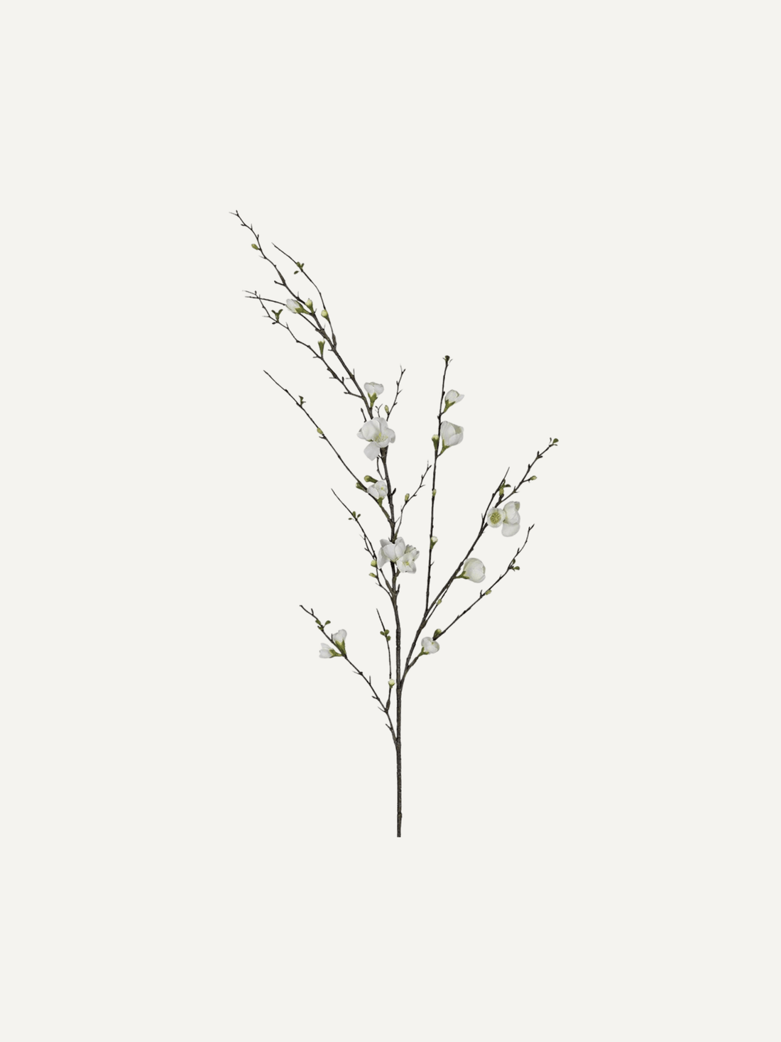 Artificial floral quince blossom branch with white flowers on a light gray background for home decoration and styling for spring decor