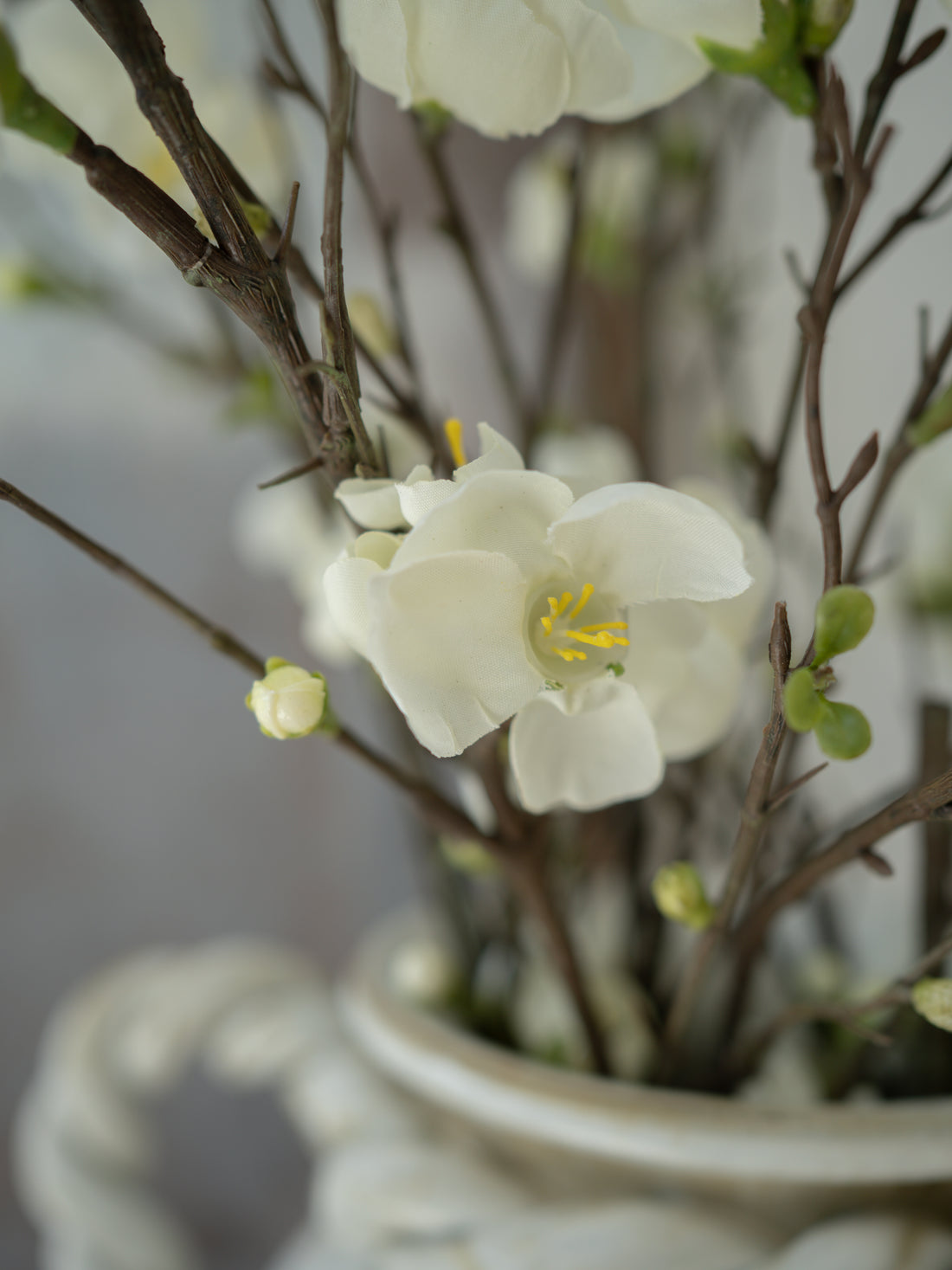 White blossom flowers in a vase with a blurred background