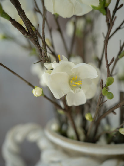 White blossom flowers in a vase with a blurred background