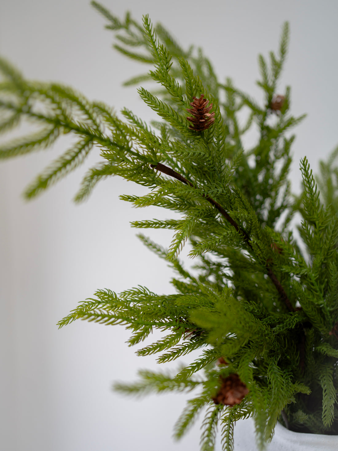 Artificial faux norfolk pine green plant with pine cones on a white background