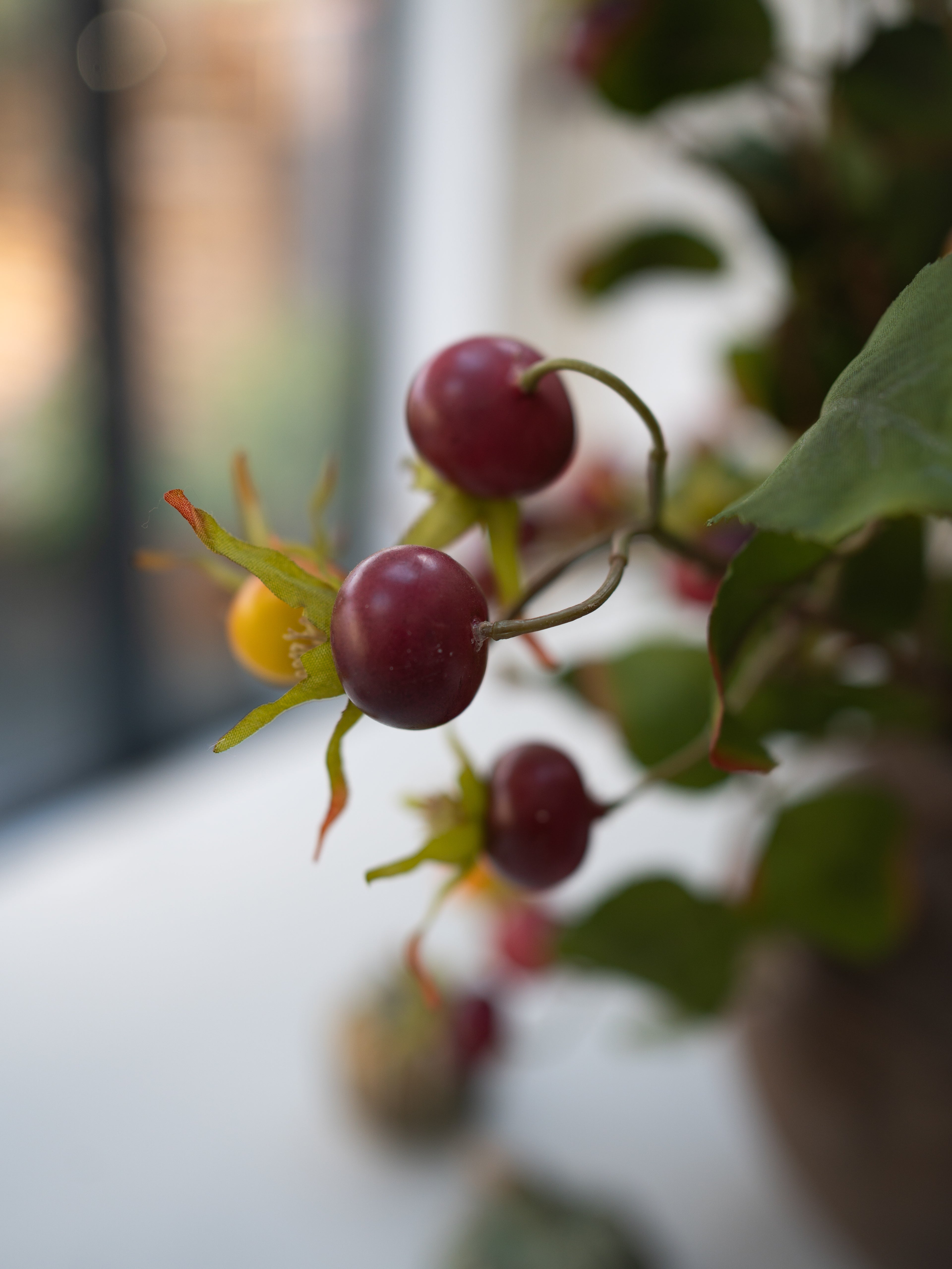 up close of faux rosehip branch