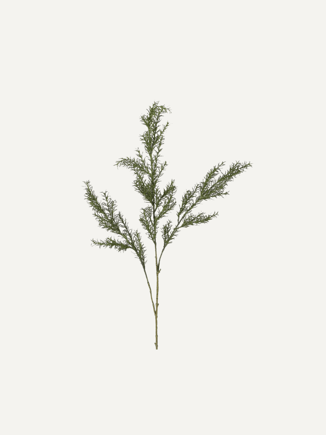 Artificial rosemary branch on a white background perfect for styling in a ceramic or rustic vase