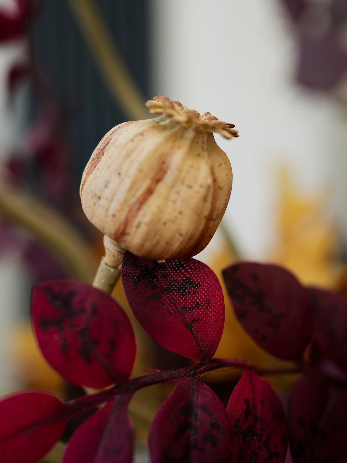 A faux decorative poppy seed pod with a beige, ribbed texture and brown speckles, perched on a branch with deep burgundy leaves featuring black spots, set against a soft, blurred background.