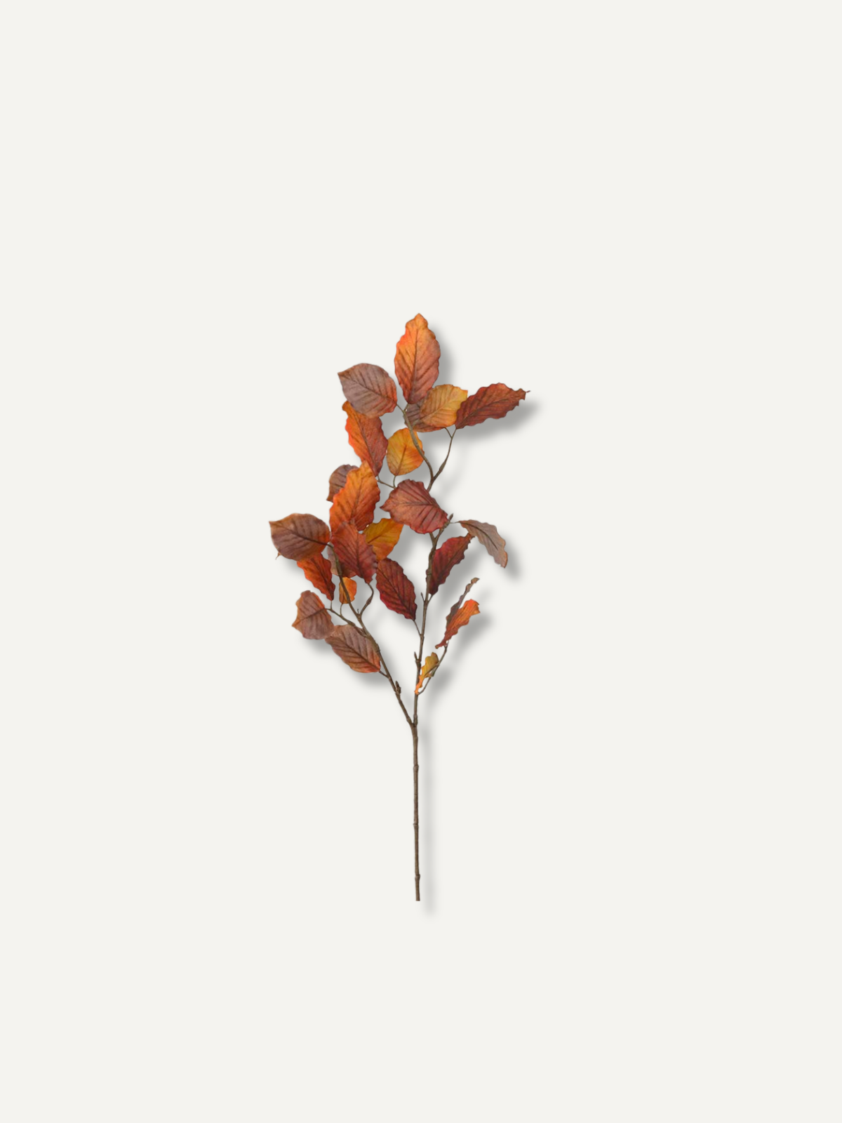 Faux Rustic Beech Leaves