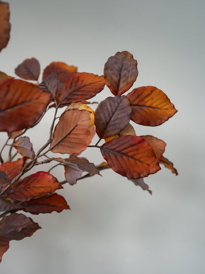 A close-up of autumn leaves on a branch, showing warm orange, rust, and deep burgundy tones against a soft light gray background.