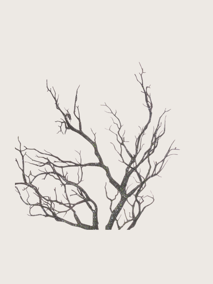 Black silhouette of bare tree branches on a light gray background