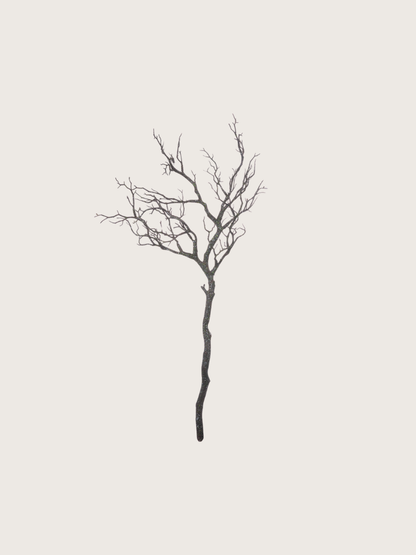Black silhouette of a bare branch on a light gray background