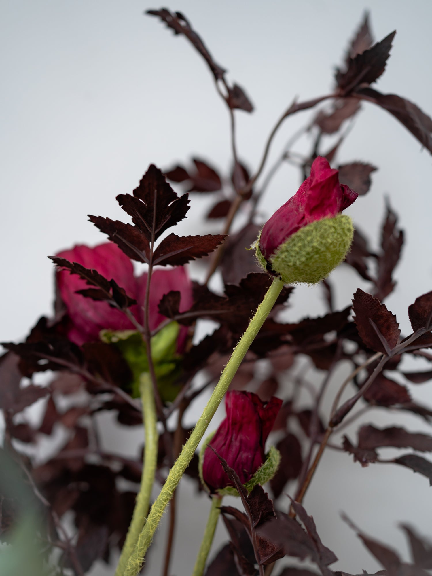 Artificial red flowers with green stems against a blurred background