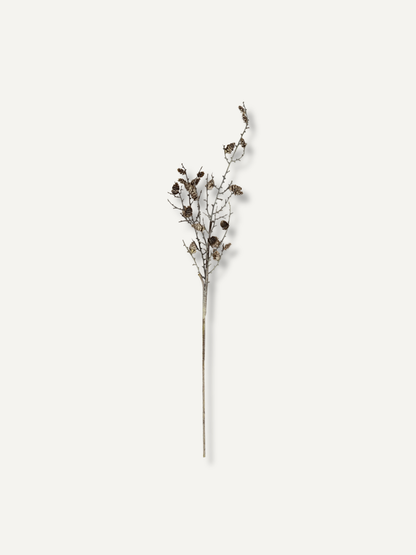 A single dried decorative branch with small brown pine cones, centered on a plain warm off-white background.