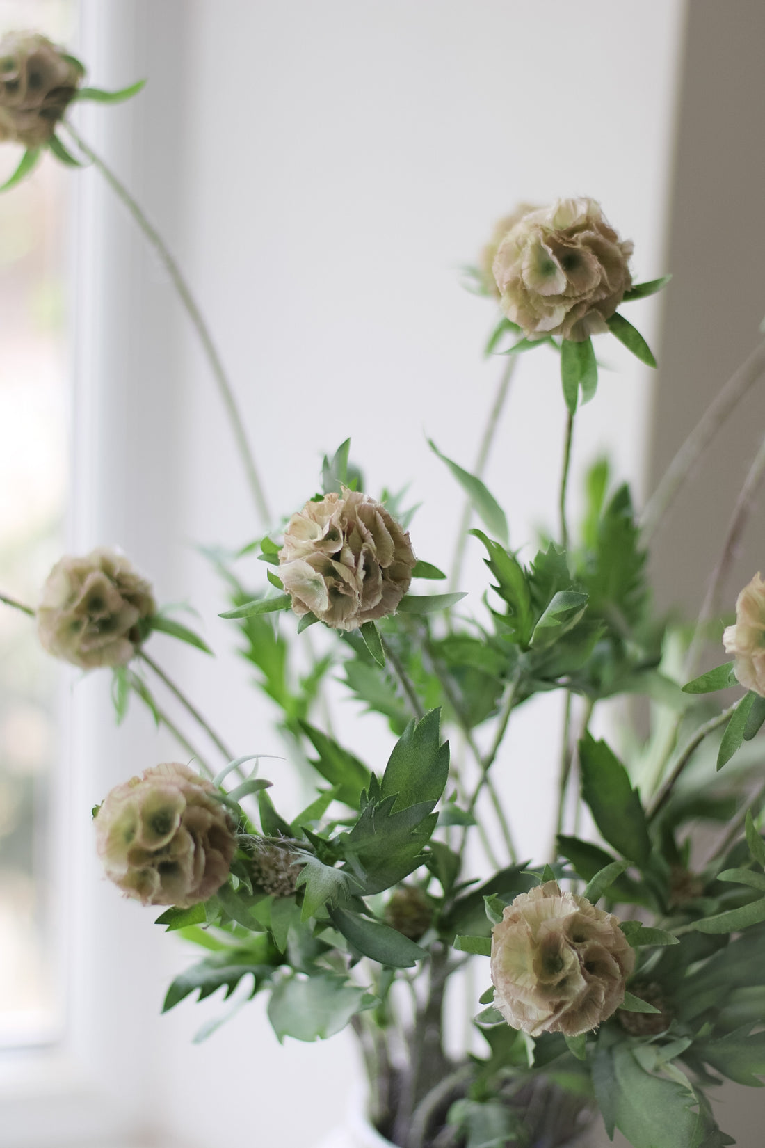 Faux Scabiosa Stellata Spray
