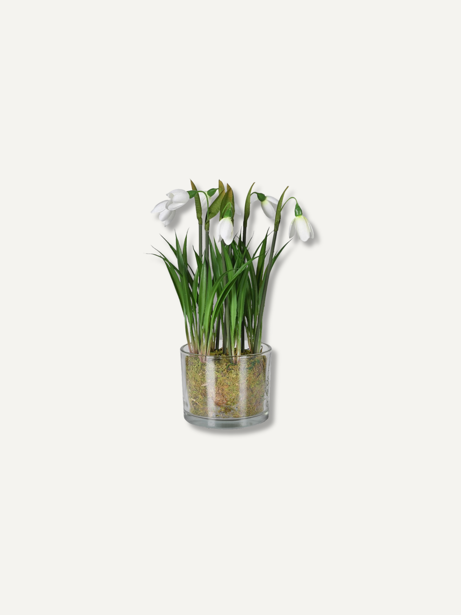 Faux Snowdrop Plant in Glass Pot
