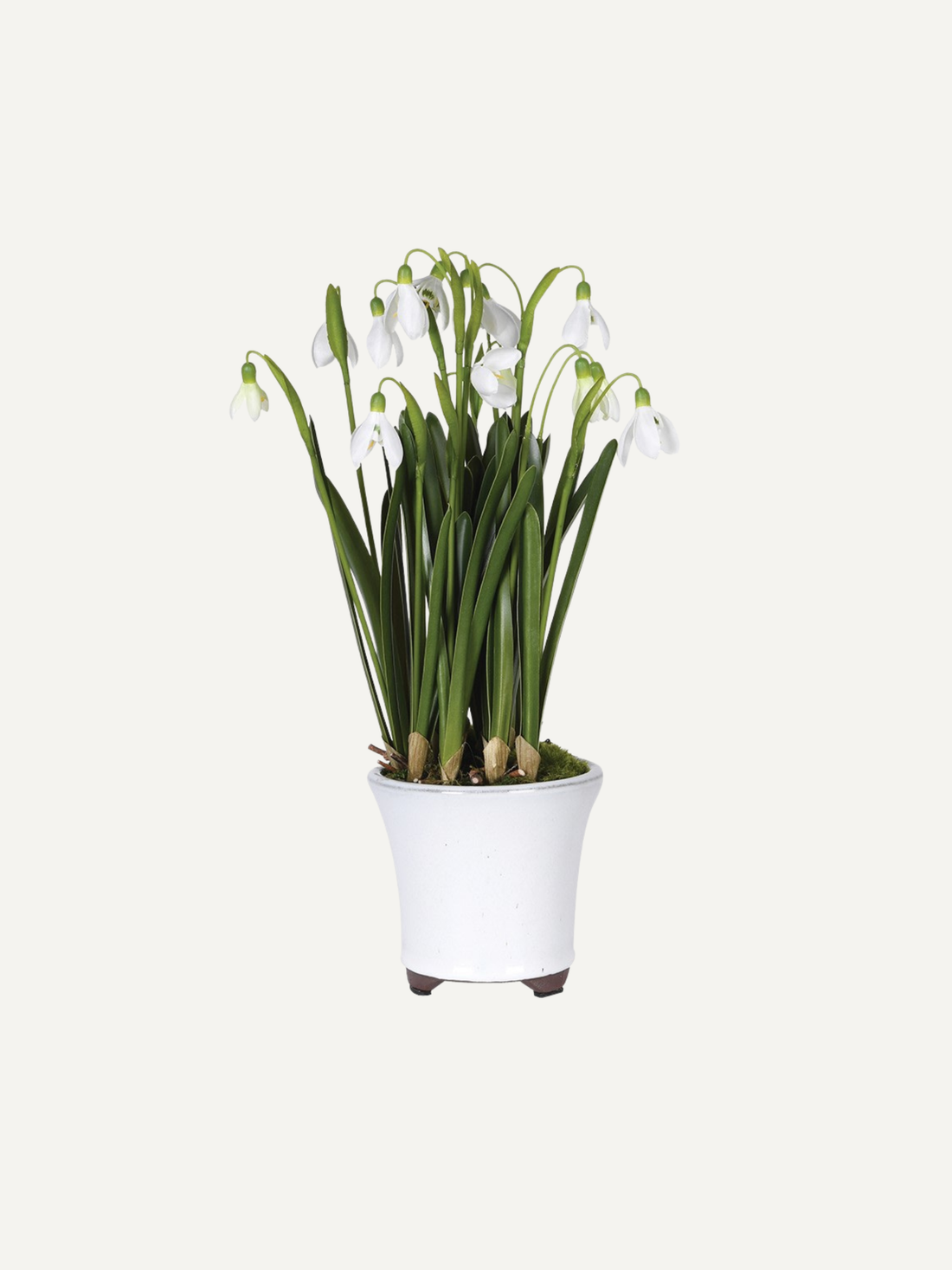 Faux potted snowdrop plant with white flowers on a light gray background, easy home styling and decor