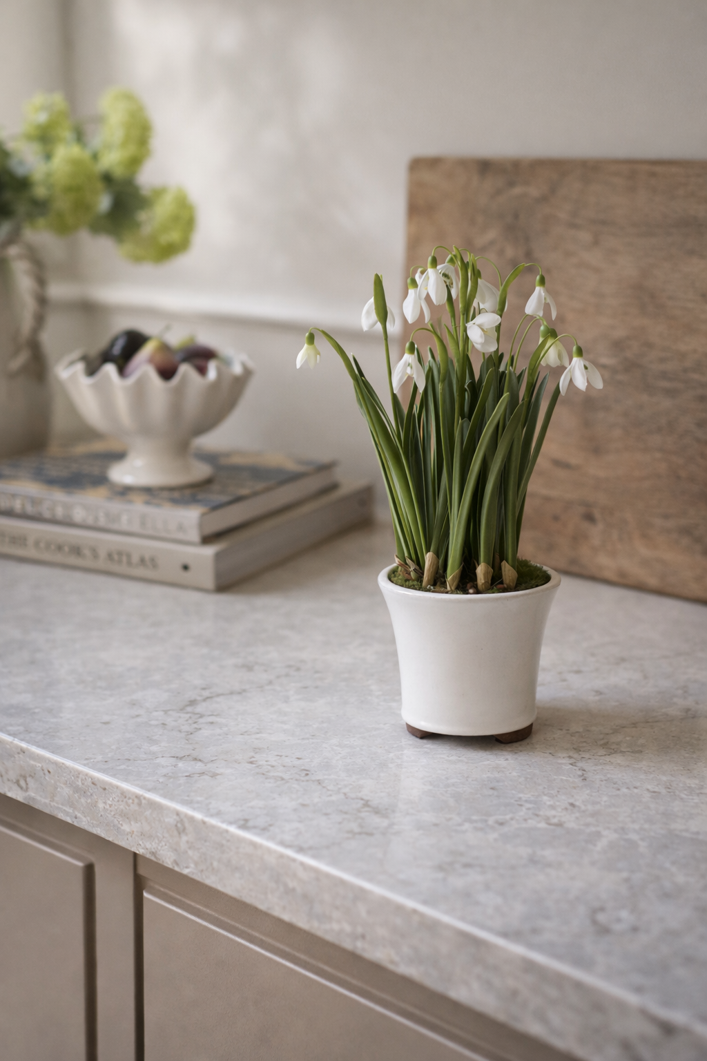 Faux white snowdrop plant in white ceramic pot on a kitchen worktop with books and a decorative item in the background