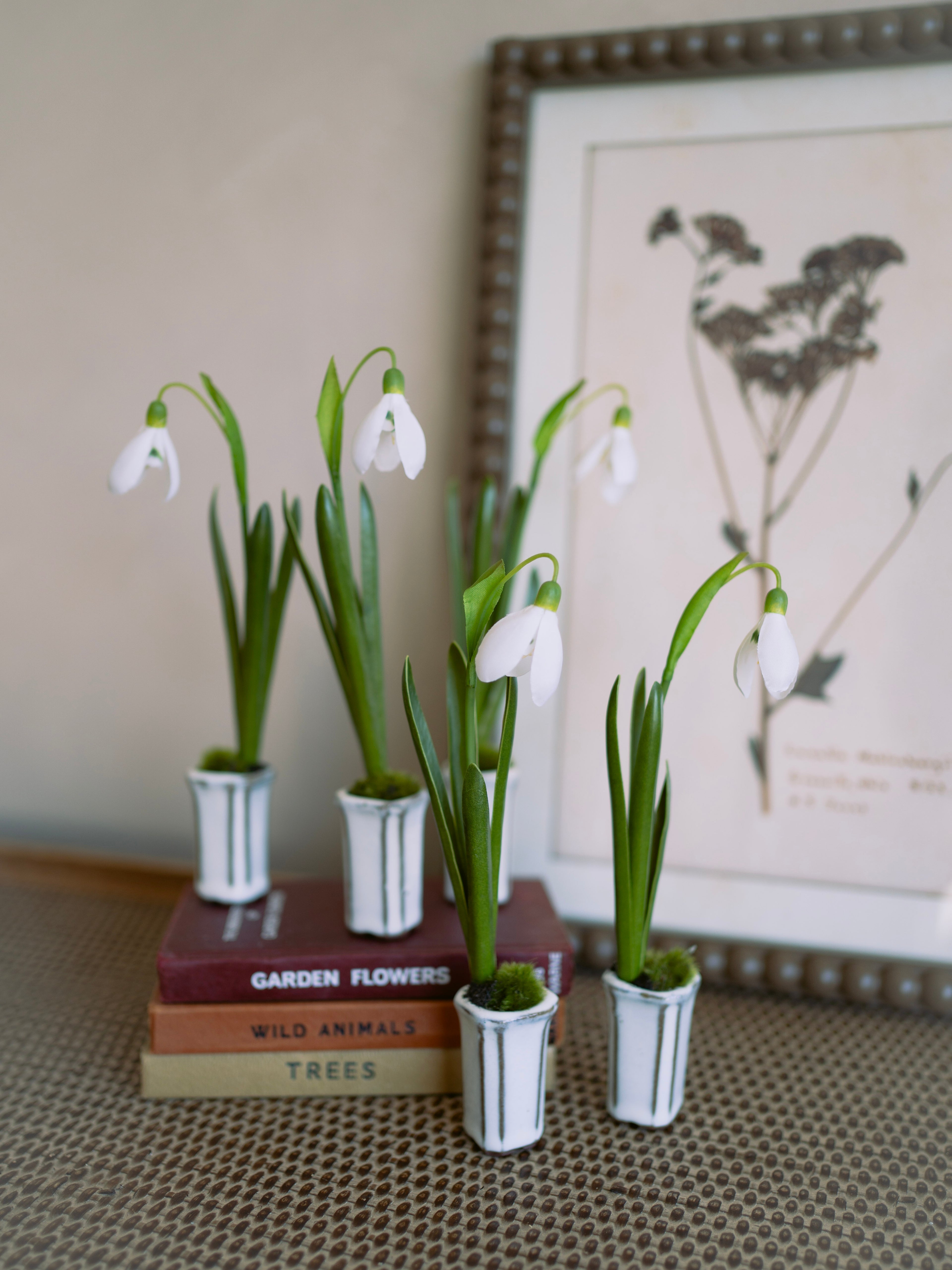 Small potted faux snowdrop plants on books with a framed picture in the background