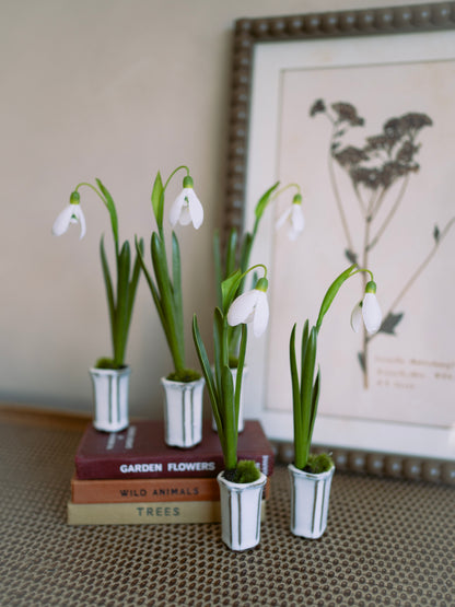 Small potted faux snowdrop plants on books with a framed picture in the background