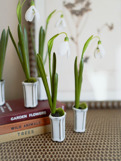 Small potted faux snowdrop plants with white flowers on a textured surface with books in the background.
