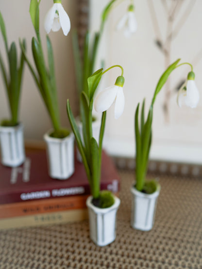 Small potted faux snowdrop plants with white flowers on a textured surface