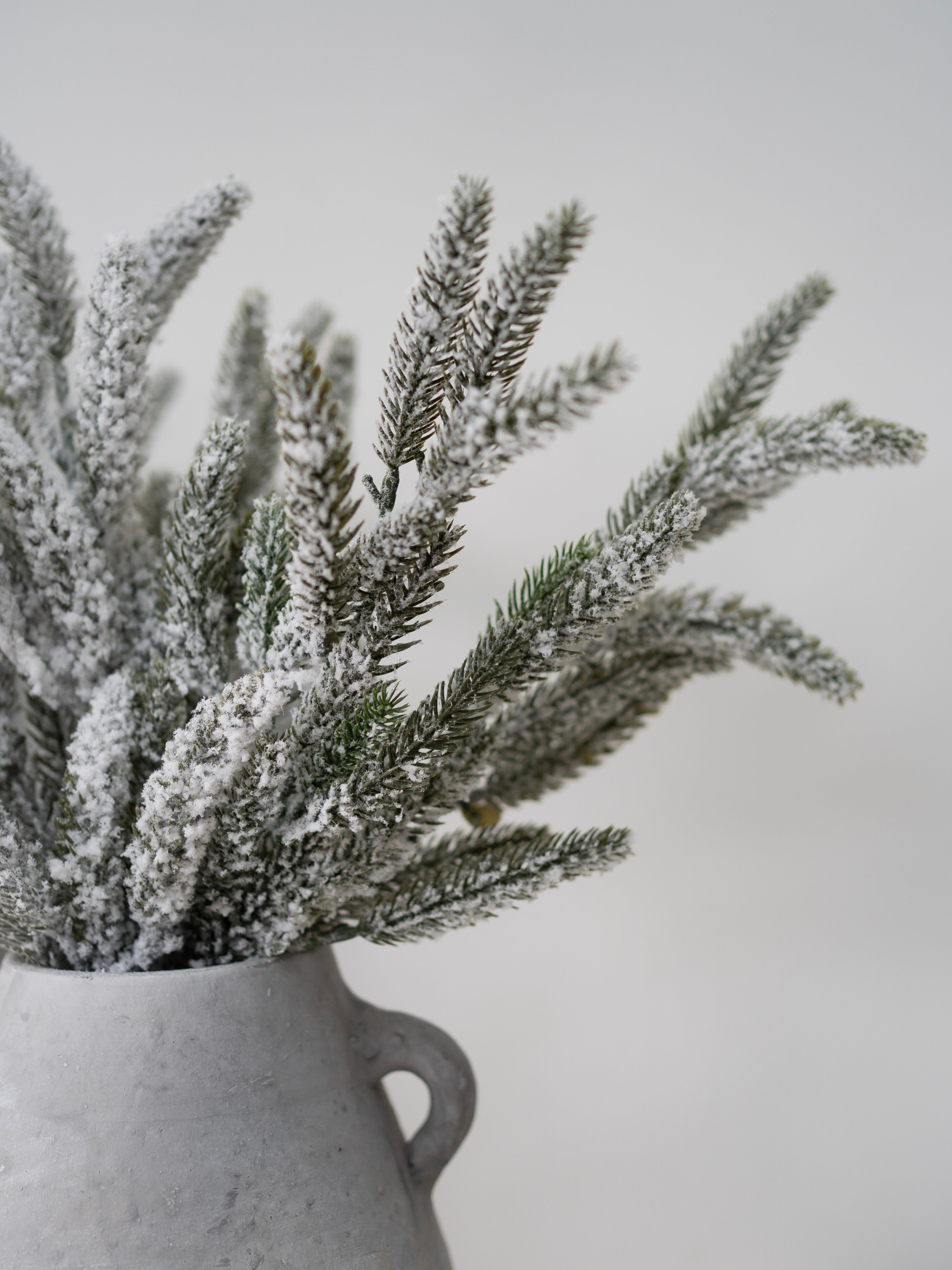 Frosted artificial plants in a gray vase on a light gray background