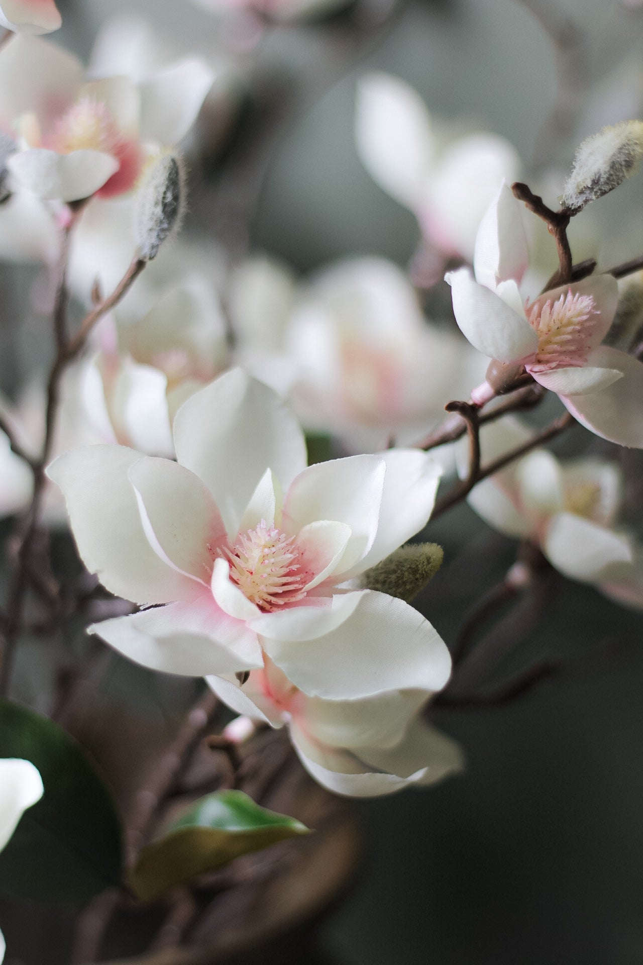upclose of Faux Soft Pink Magnolia Stem