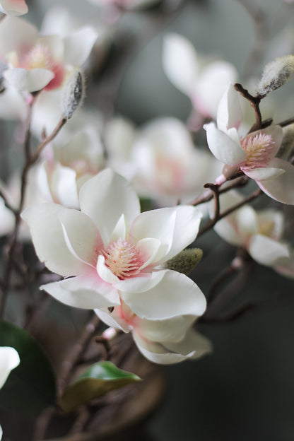 upclose of Faux Soft Pink Magnolia Stem