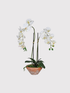 Faux Soft White Orchid in Rustic Terracotta Pot