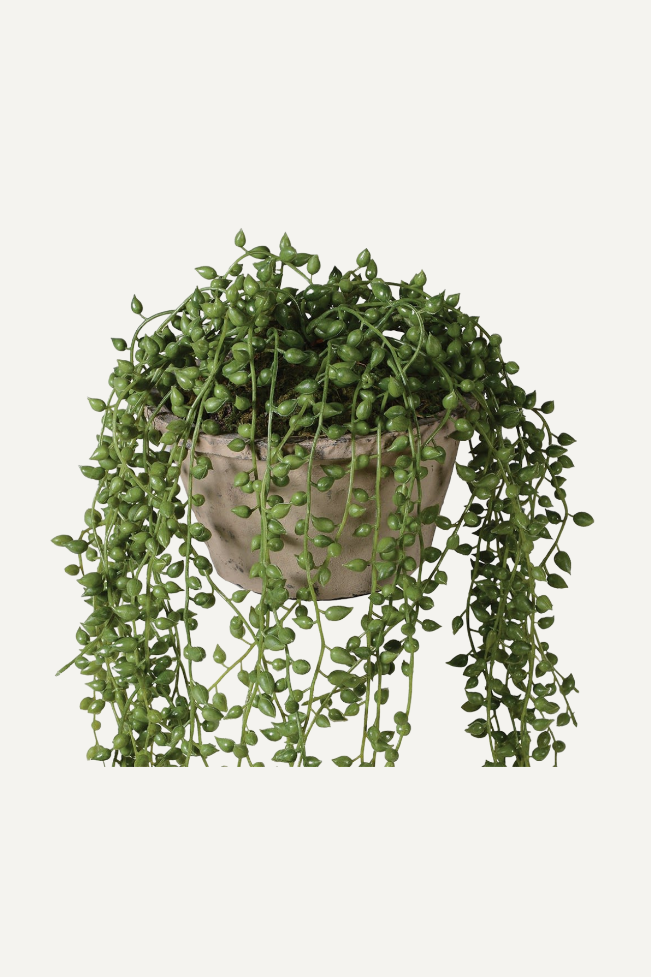 faux string of pearls plant in textured pot Faux String of Pearls in Rustic Cement Pot