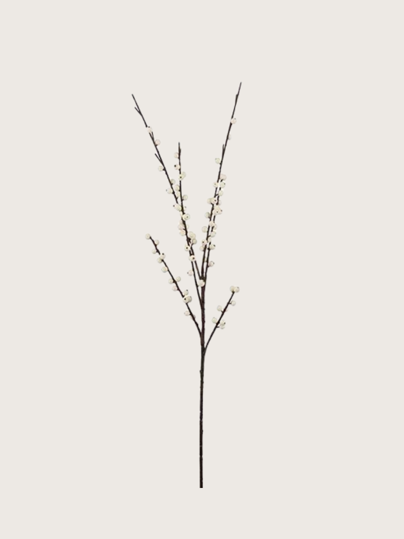 Single branch with small white berries leaves on a light gray background