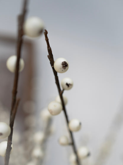 White berries on branches against a blurred background