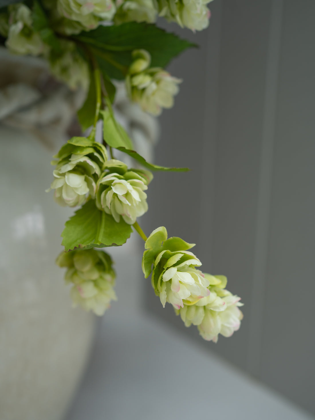Close-up of green faux luxury hops flowers with a blurred background