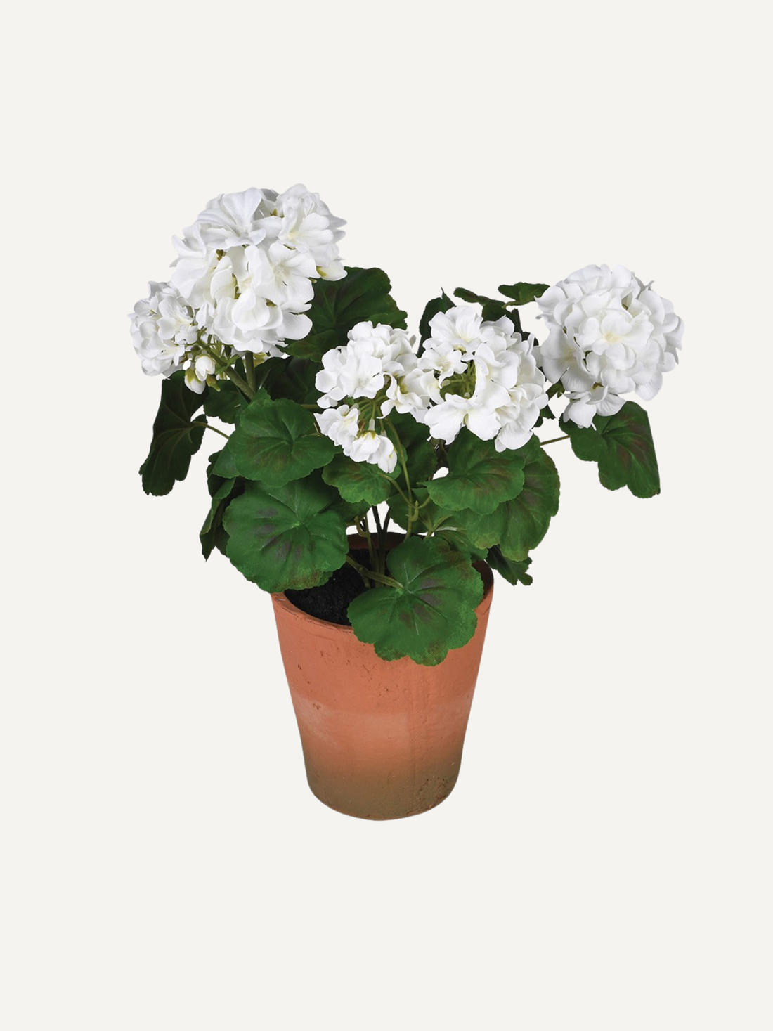 Faux potted white geranium plant with white flowers and green leaves in a rustic terracotta pot perfect for low maintenance home styling