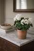 Potted faux white geranium plant with white flowers on a marble surface with a wooden cabinet and framed mirror in the background.
