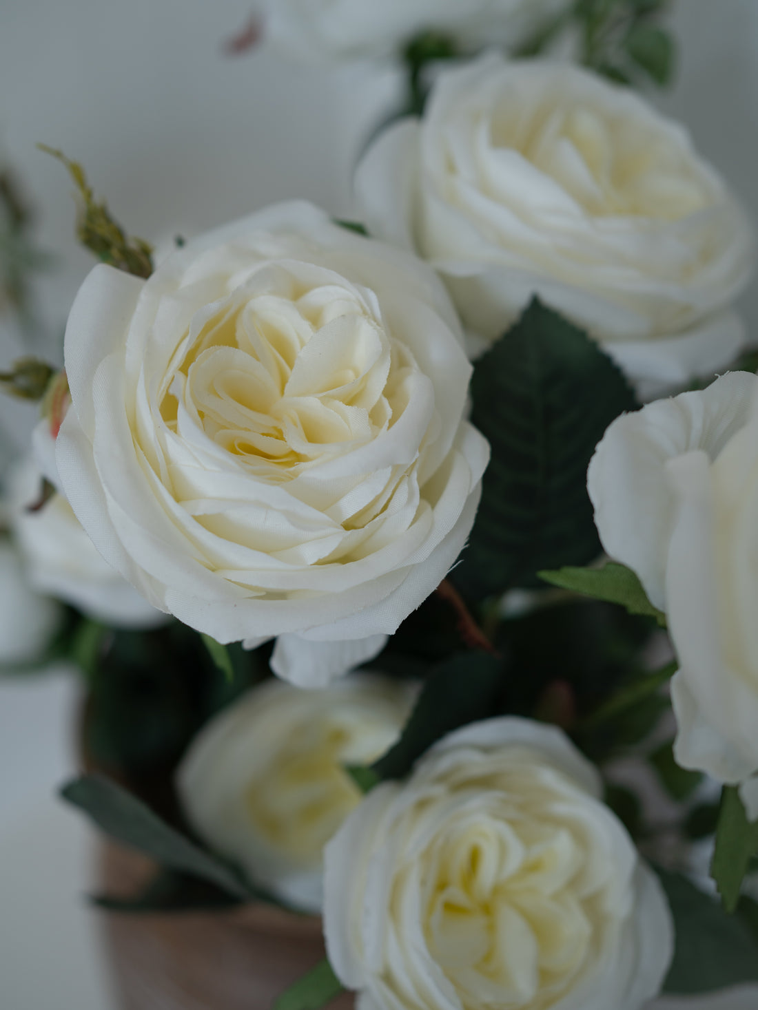 Bouquet of white roses with green leaves on a blurred background