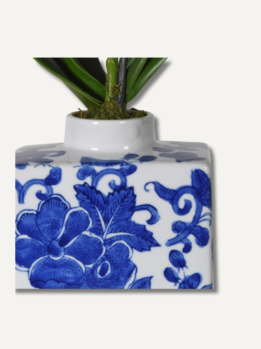 White vase with blue floral patterns containing a plant on a white background