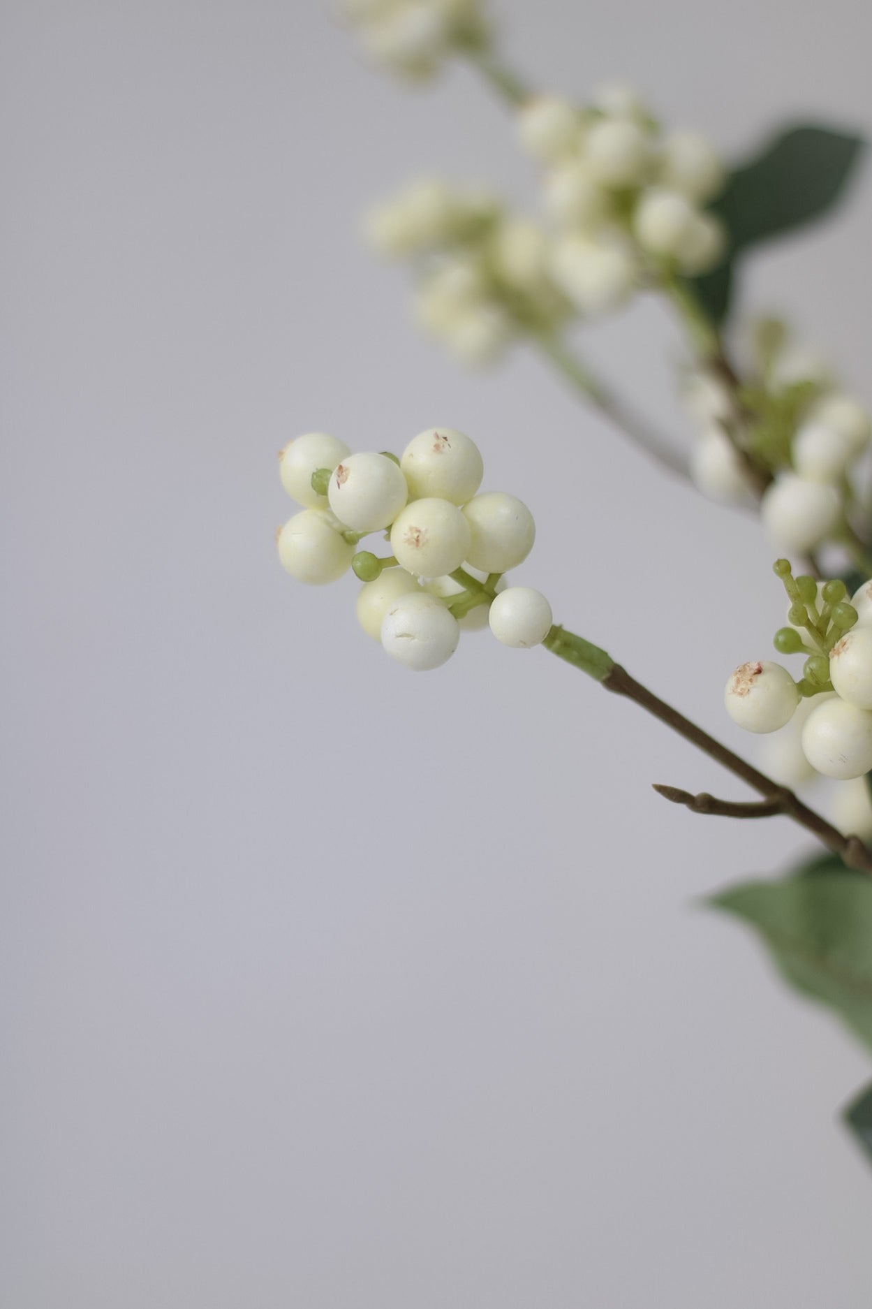 Faux White Snowberry Spray 004