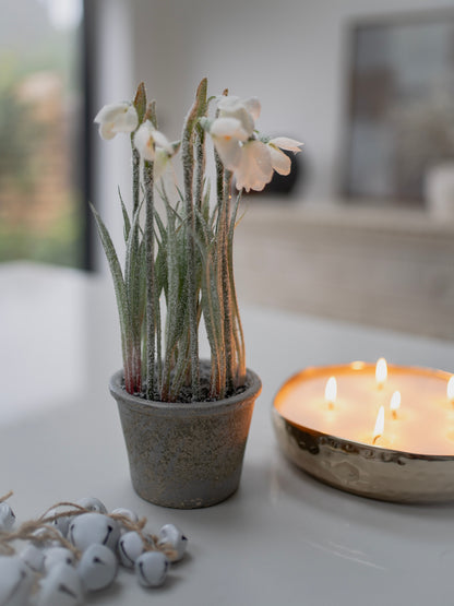 Potted faux snowdrop plant and lit candle on a surface with a blurred background