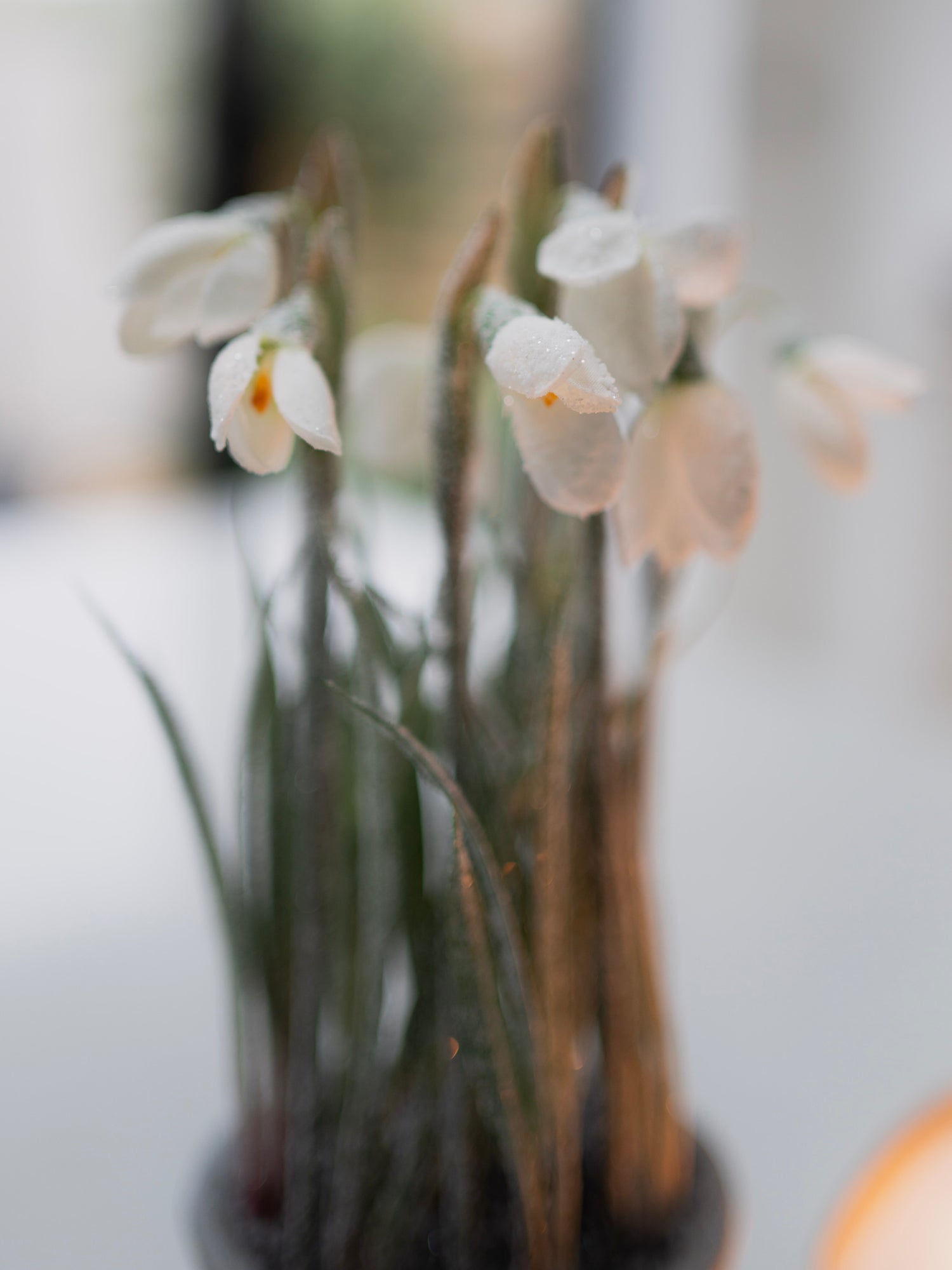 Small white flowers in a clear vase on a blurred background