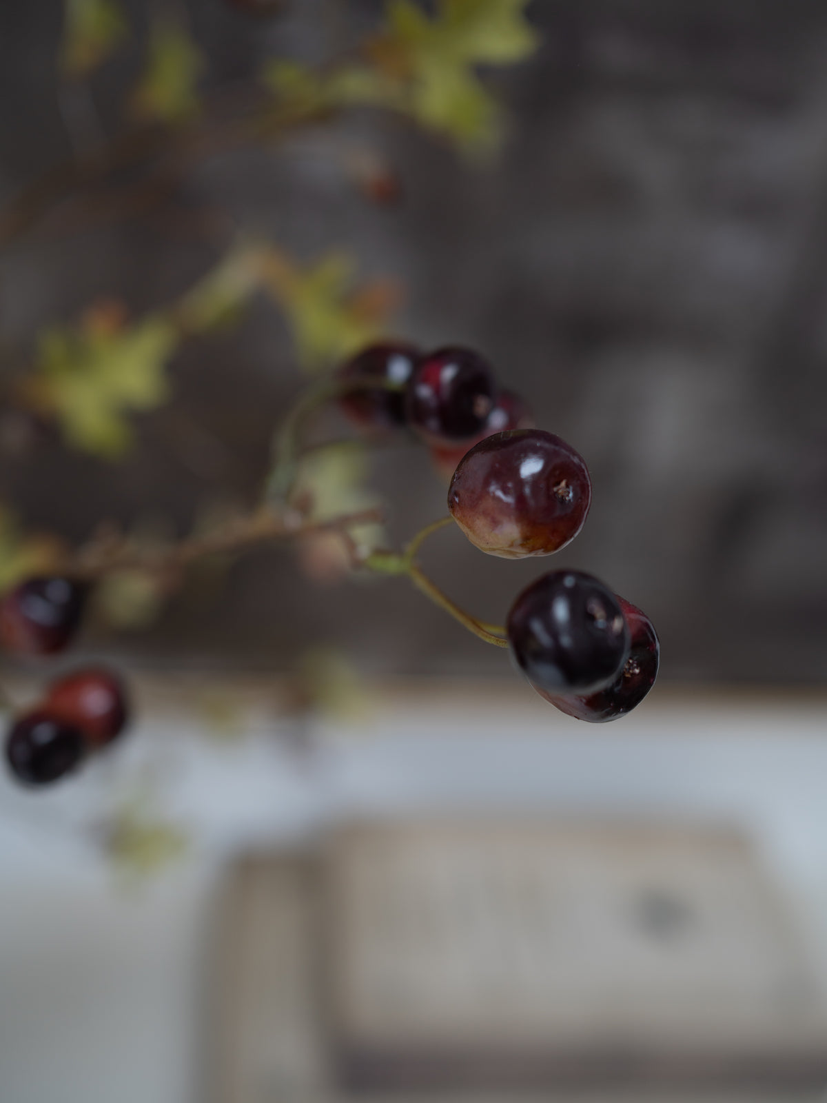 A close-up, shallow depth-of-field shot of dark, glossy cherries on a thin stem with small yellow-green leaves, set against a blurred gray and white background.