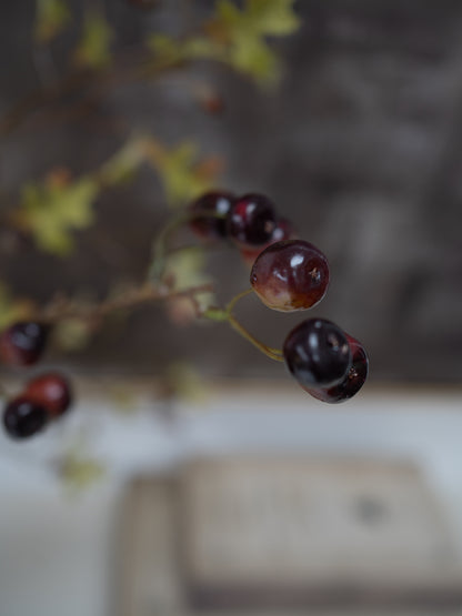 A close-up, shallow depth-of-field shot of dark, glossy cherries on a thin stem with small yellow-green leaves, set against a blurred gray and white background.