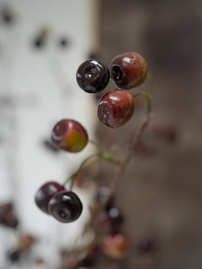 Close-up of a cluster of small dark red to purple cherries on thin stems, photographed against a softly blurred neutral background.