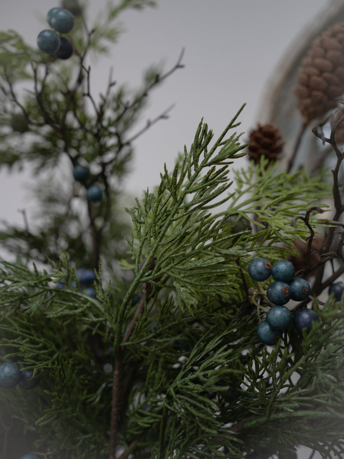 Close-up of green cedar-like branches with clusters of small blue berries and a pinecone against a soft gray background.