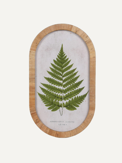 Rattan framed pressed style fern on a white background