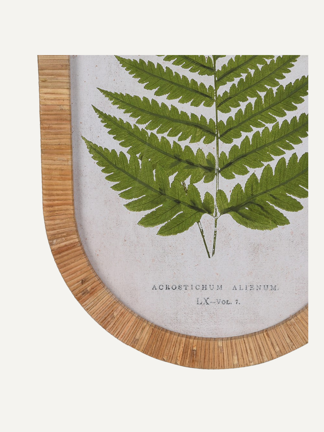 Up close of fern rattan framed wall art