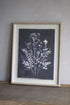 Framed botanical print on a gray wall