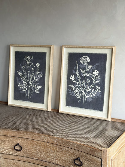 Two framed botanical prints on a textured surface with a neutral background