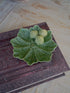 Green ceramic dish with floral design on a textured surface